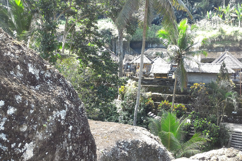 bali mountainbike