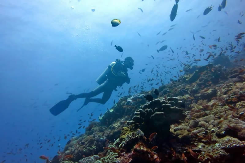diving bali