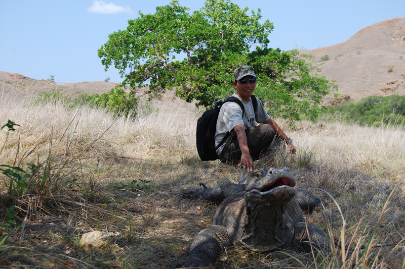 komodo island