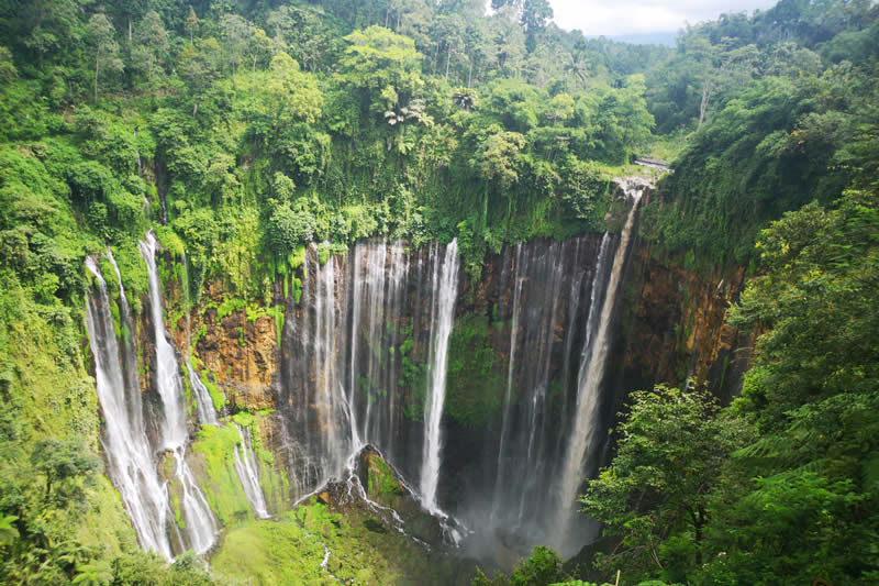 lumajang