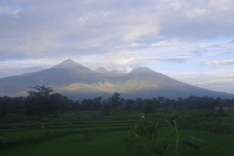 mount arjuno
