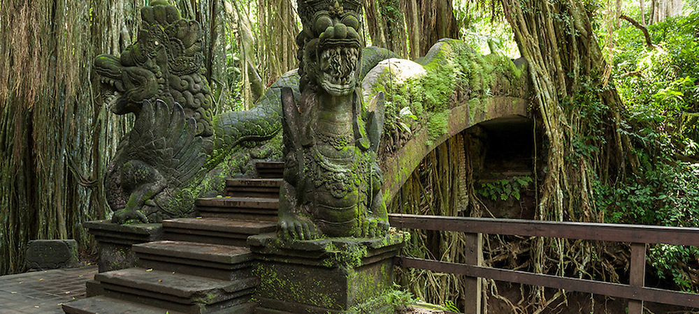sacret monkey forest