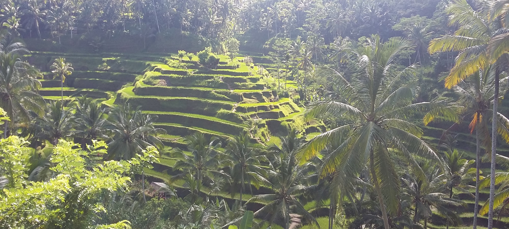 tegalalang
