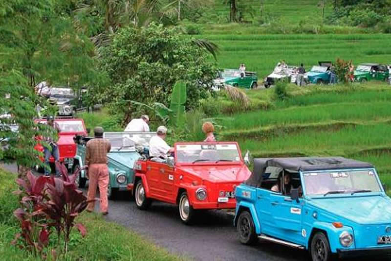 vw safari